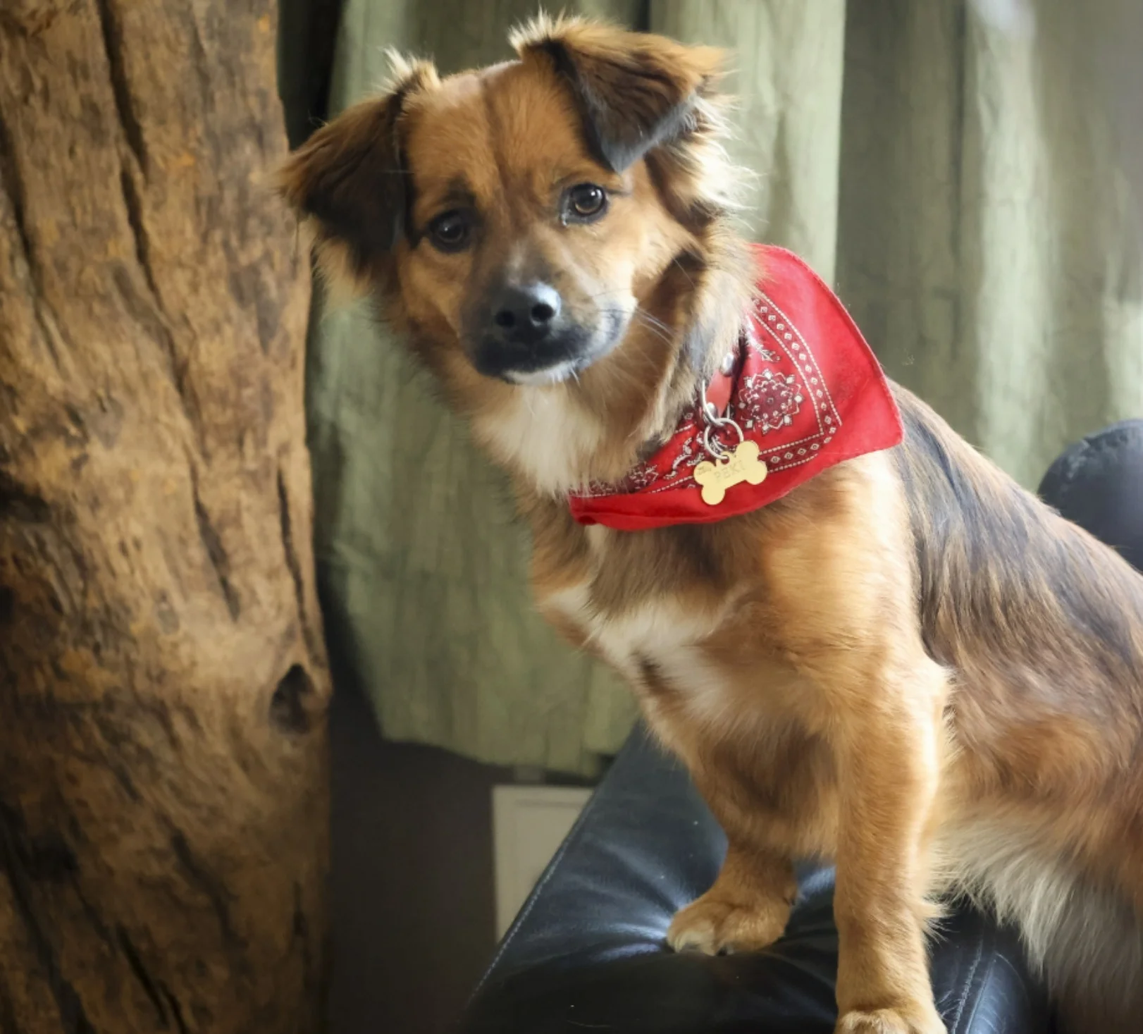 IMGL0312 Foto Wim Roefs