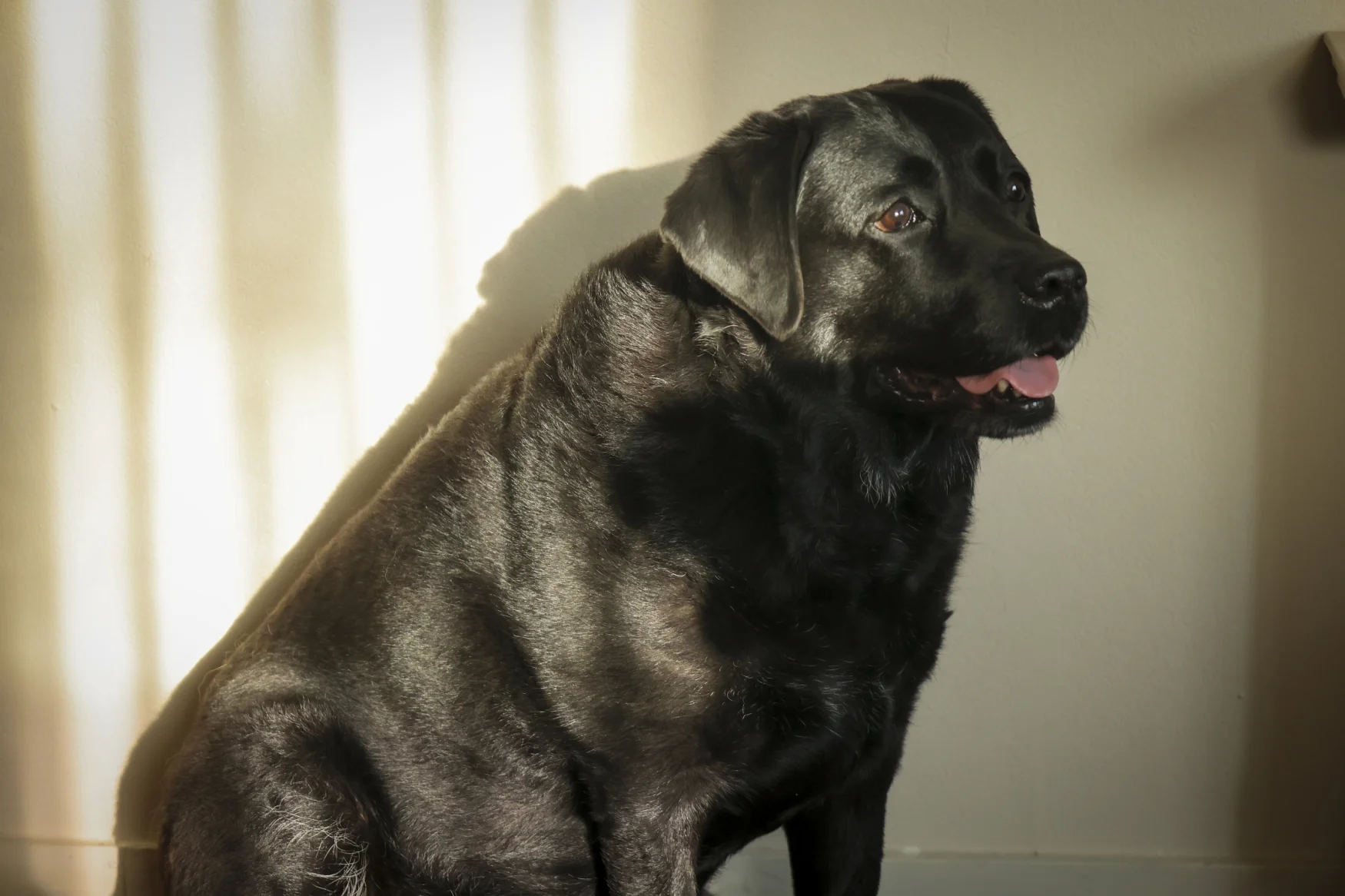 IMGL0362 Foto Wim Roefs