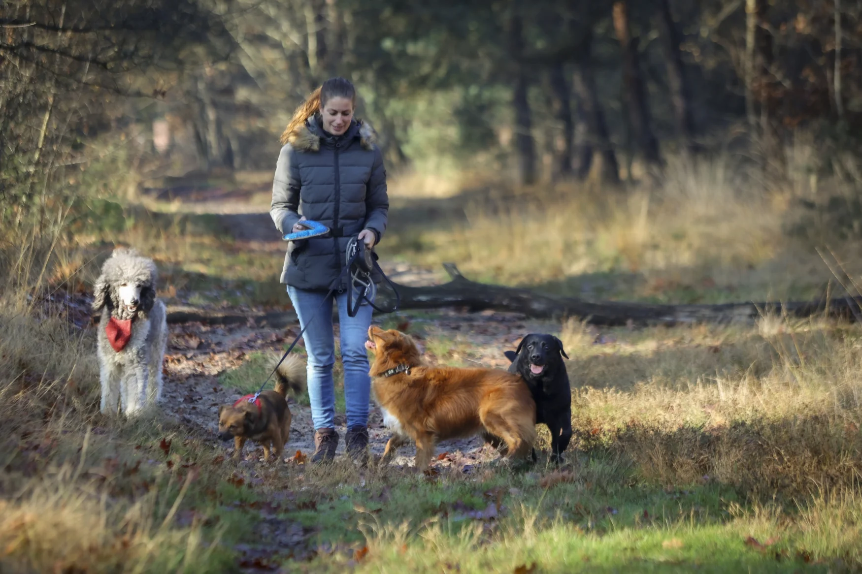 IMGL0588 Foto Wim Roefs